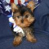 Remmie 3-5-12